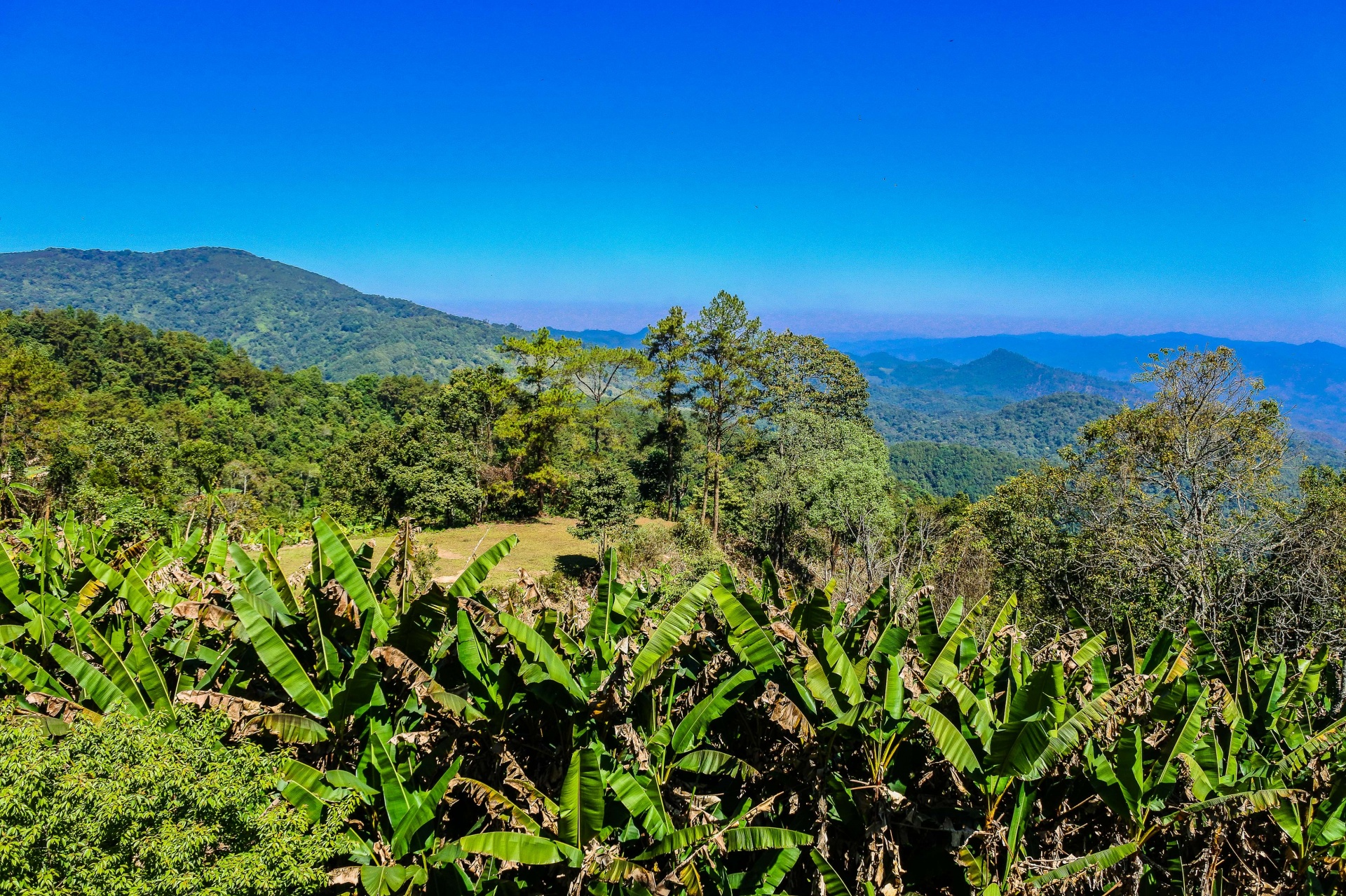 Viewpoint At Huay Nam Dang National Park Free Stock Photo - Public Domain Pictures