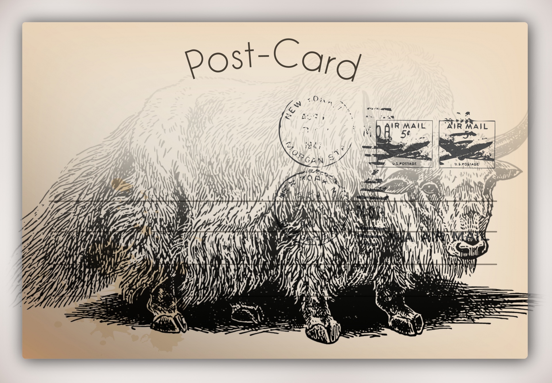 sepia worn post card with a drawing of a Bison