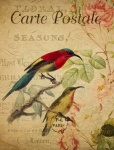 Birds Vintage Floral Postcard
