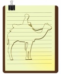 Camel Animal Nature Drawing