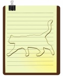 Cat Animal Kitten Kitty Drawing