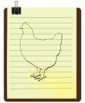 Chicken Hen Animal Nature Drawing