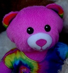 Cuddly Soft Toy Teddy Bear
