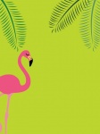Flamingo Tropical Summer Background