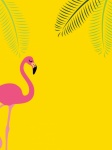 Flamingo Tropical Summer Background