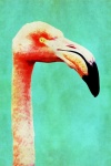 Flamingo Vintage Grunge Painting