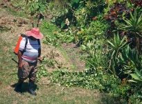Garden Worker Spraying Weeds