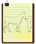 Girl Horse Woman Drawing Line Art