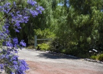 Flower Bordered Driveway