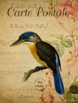 Kingfisher Vintage Floral Postcard