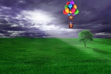 Landscape Scenery Nature Balloon