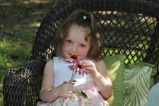 Little Girl Holding Pink Flowers
