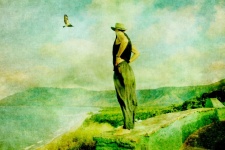 Man Watching Bird