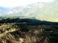 Mountain, Doi Inthanon National Park