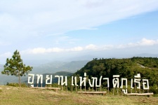 Nature Of Phu Rua Mountain