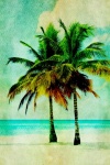 Palm Trees Tropical Beach