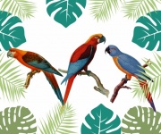 Parrot Tropical Background Leaves