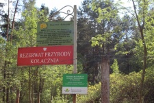 Kolacznia Reserve