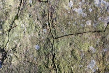 Rough Stone Background