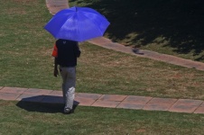 Security Official With Umbrella