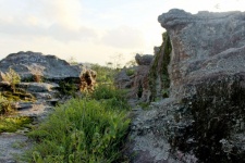 Stone Landscape On Phu Rua Mountain