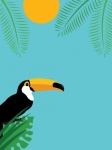 Toucan Tropical Summer Background
