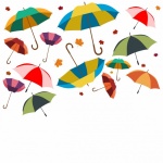 Umbrellas And Leaves Colorful
