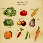 Vegetables Vintage