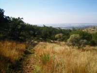 View Of Hiking Trail Through Grass