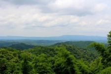 View Of Mountain Forest Landscape