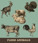 Vintage Farm Animals Set