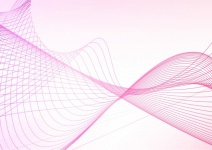Wavy Lines Abstract Pink