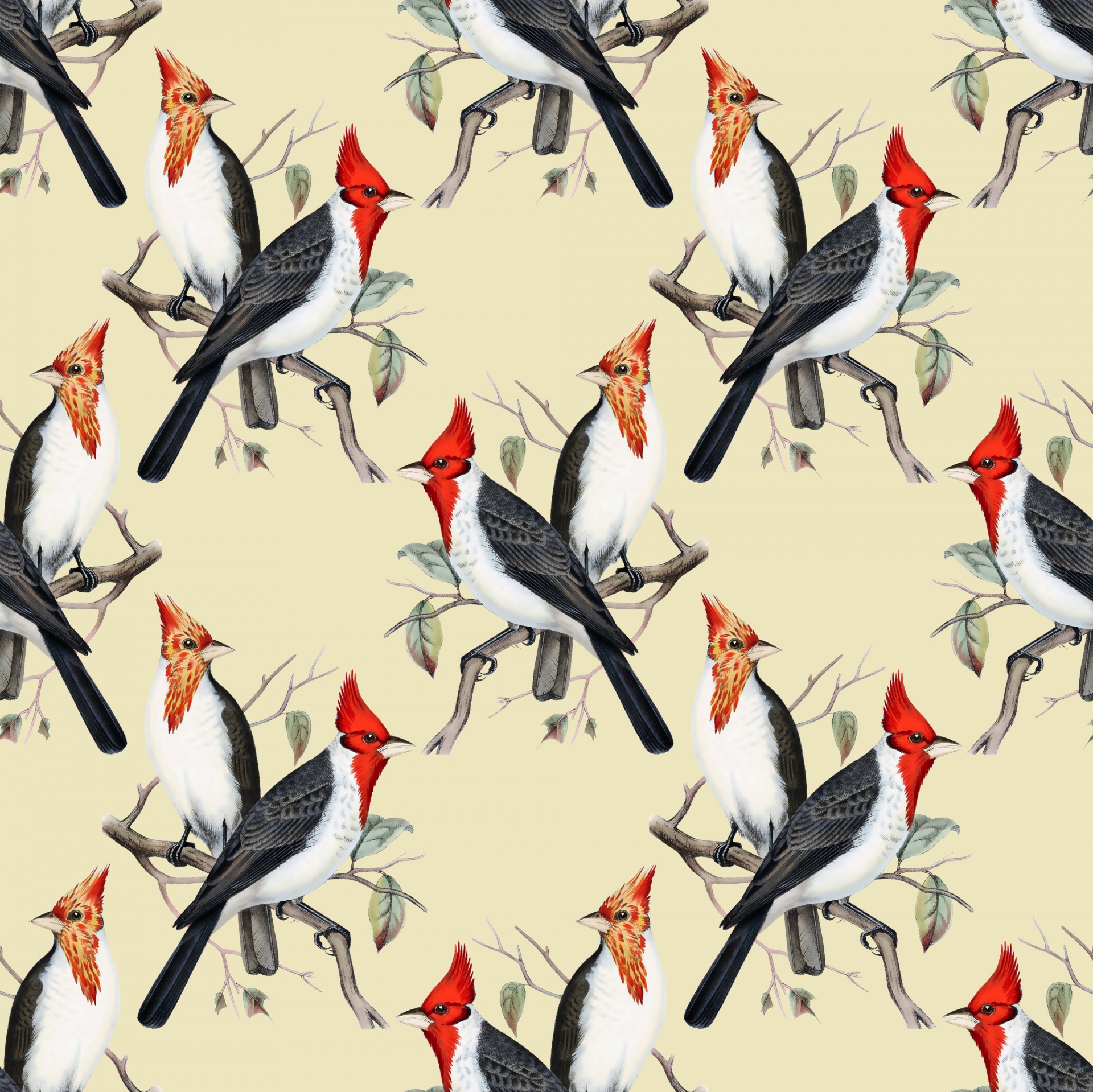 Birds Vintage Background Wallpaper