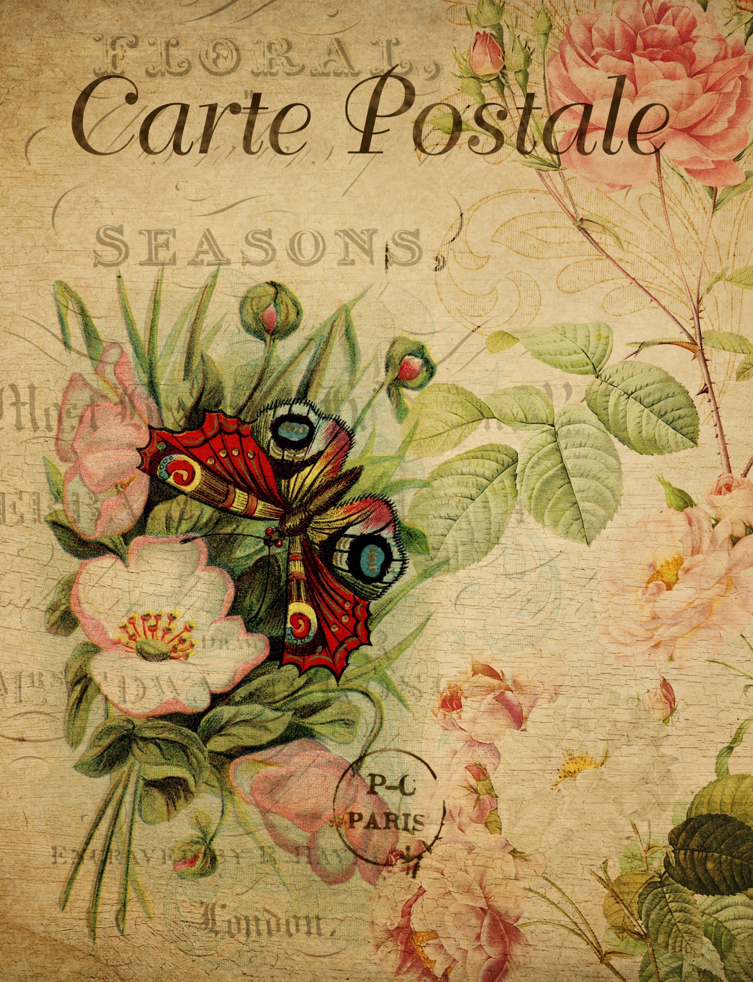 Butterfly, Flowers Vintage Postcard