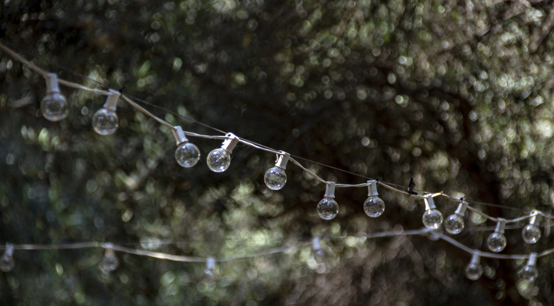 round patio lights strung between trees