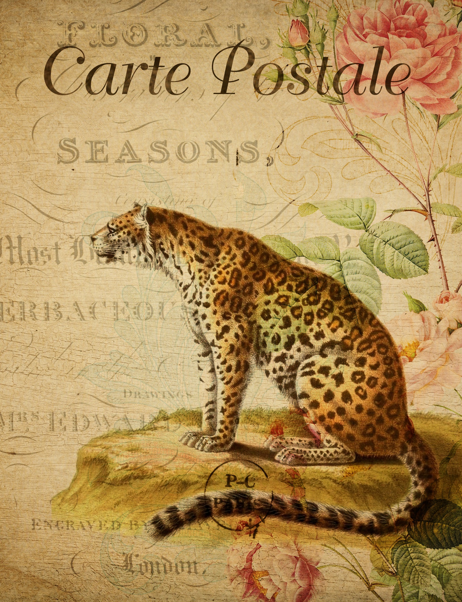 Leopard Vintage Floral Postcard
