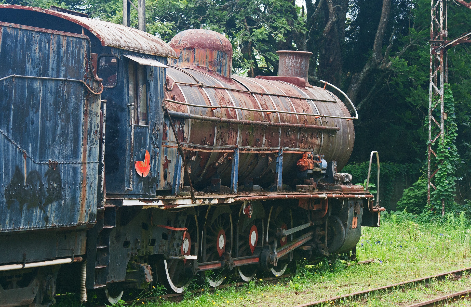 Old Abandoned Steam Locomotive