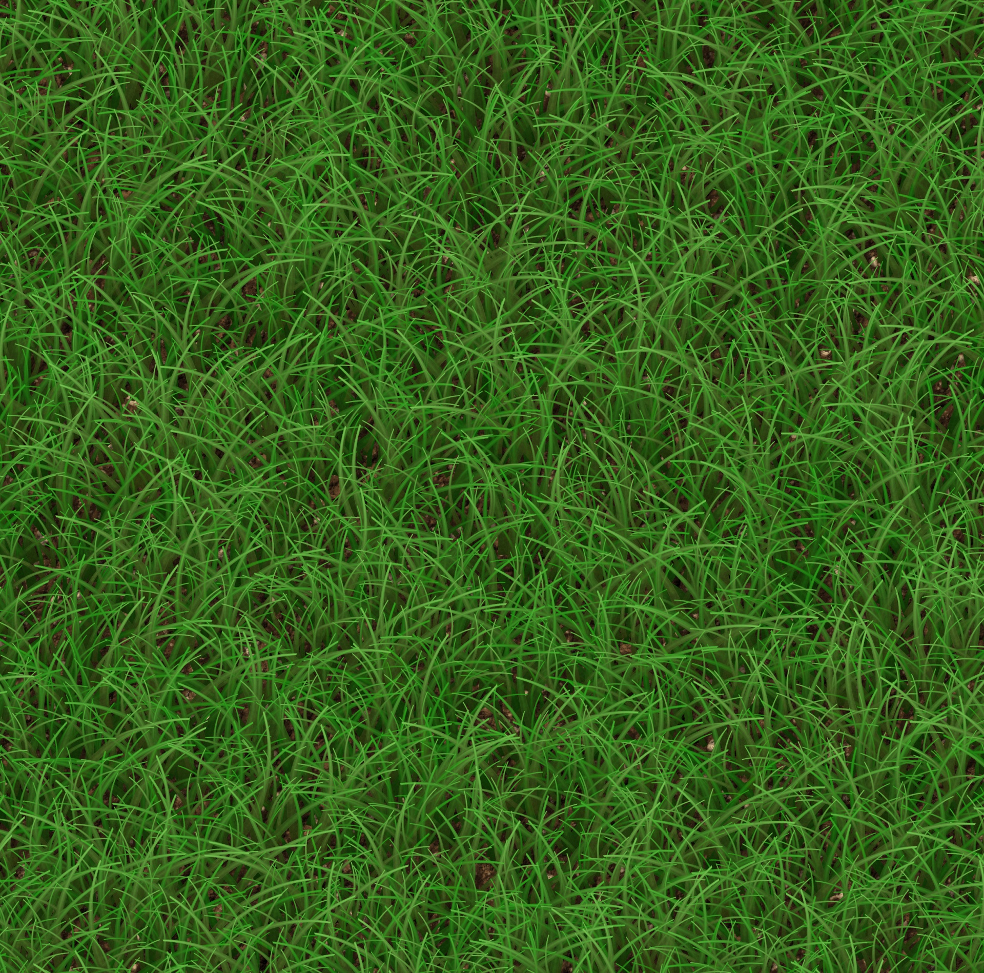 Grass Texture 1