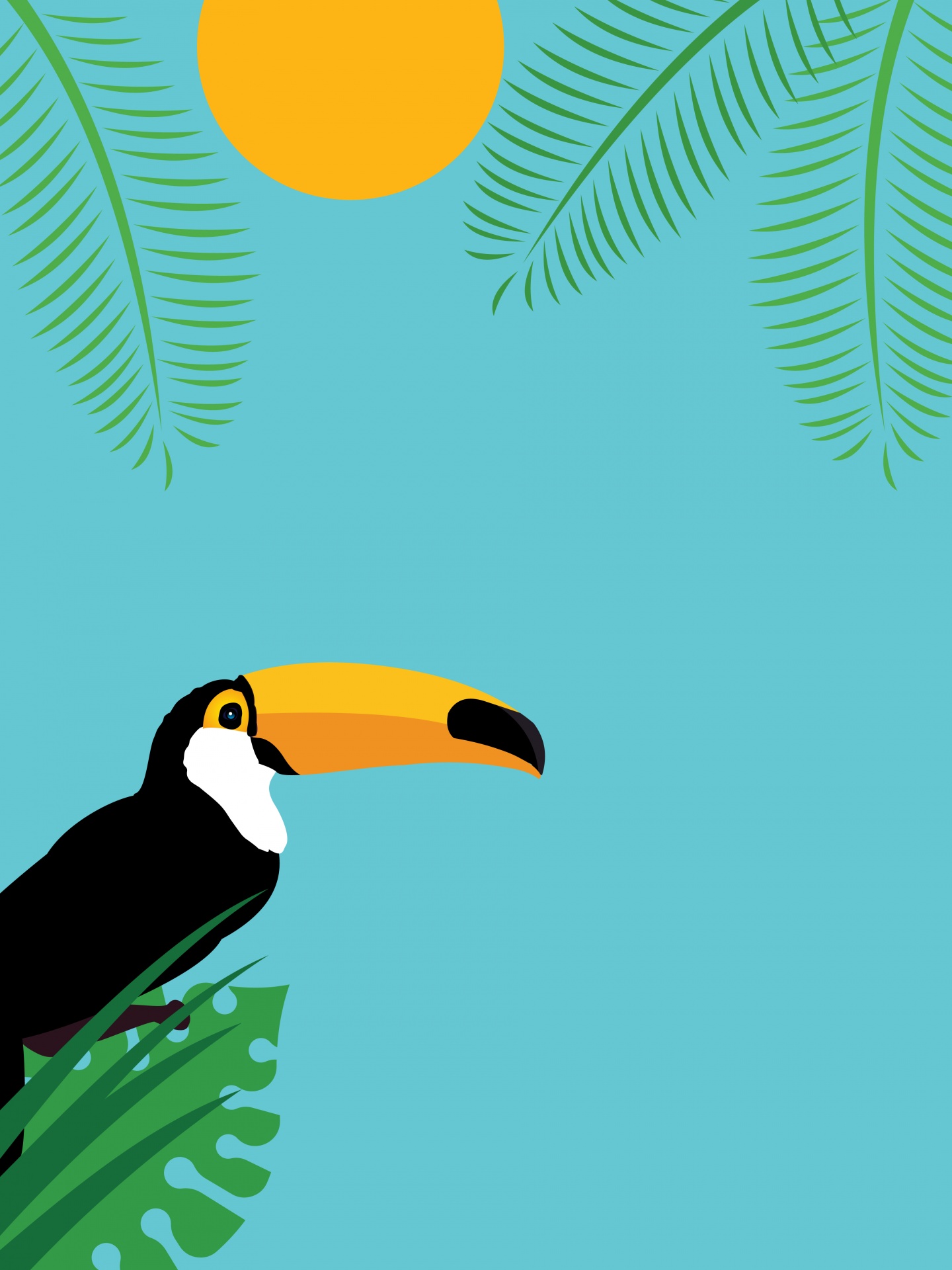 Toucan Tropical Summer Background