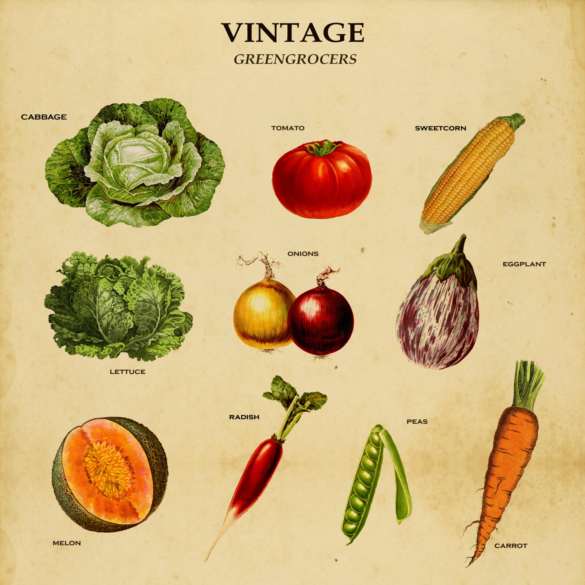 Vegetables Vintage