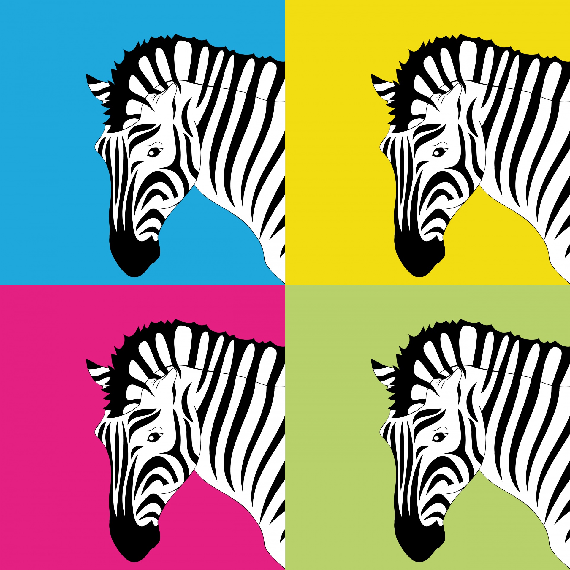 Zebra Pop Art Poster