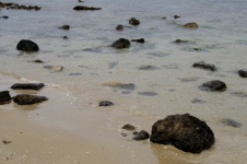 Black Rocks On Sandy Beach