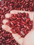 Close Up Red Beans Background