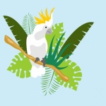 Cockatoo Tropical Leaves Background