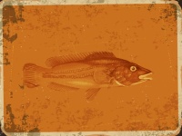 Fish Vintage Poster