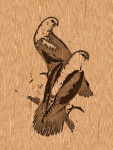Woodcut 006 - BIRDS