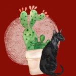 Cat And Cactus Illustration