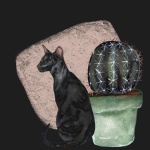 Cat And Cactus Illustration