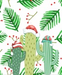 Christmas Cacti
