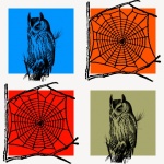 Owl And Spider Web